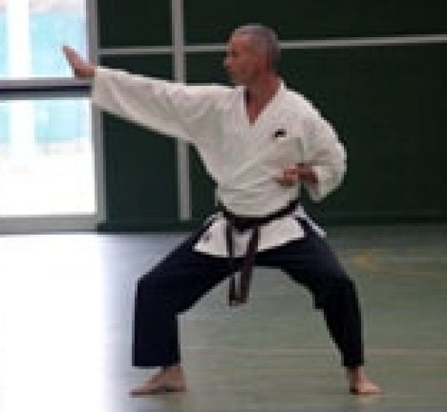 http://www.bushidofma.com.au/wp-content/uploads/2017/09/image47-650x600.jpg